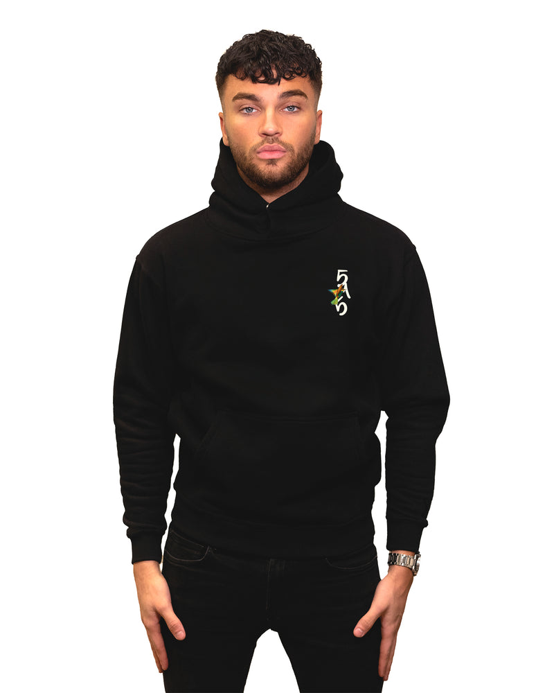 Loose-fit Hoodie - Bird